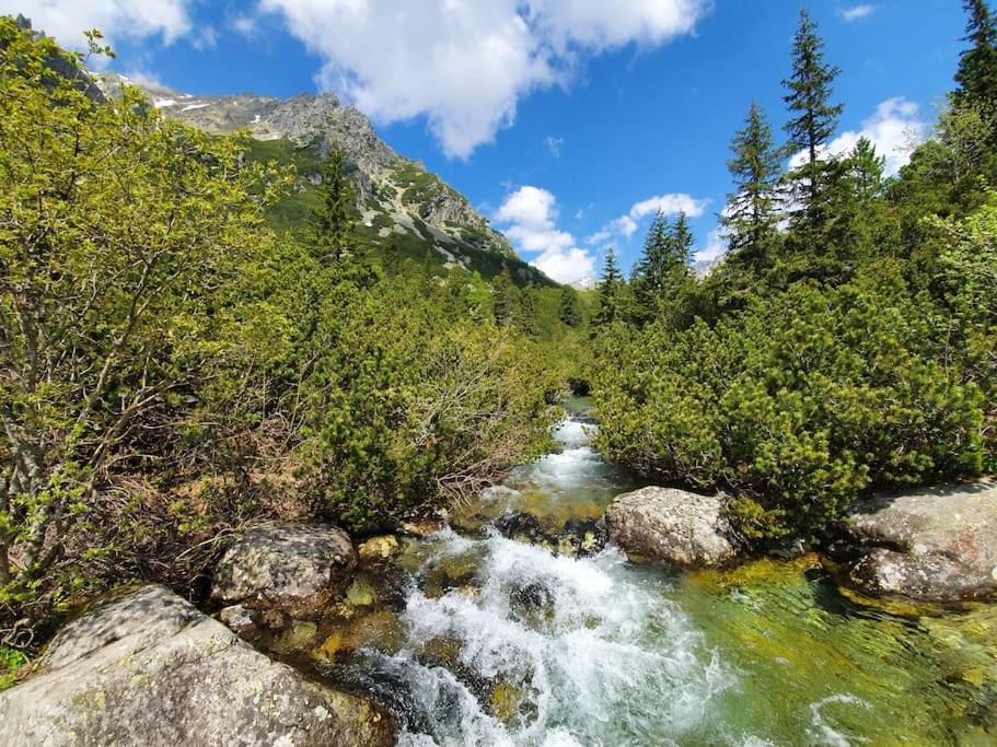 Apartman Ve Vysokych Tatrach Strbske Pleso Exterior photo